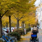 Street