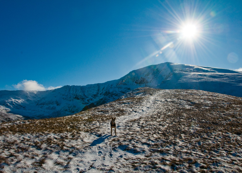 Snowdon in the snow - 6