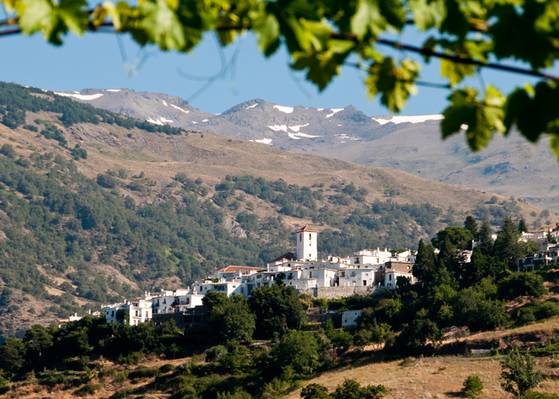 Spain, Summer 2010 - 11