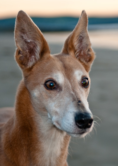 Beach Martin - 8
