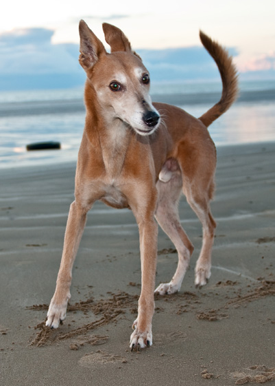 Beach Martin - 7