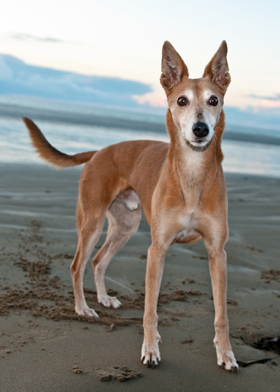 Beach Martin - 6