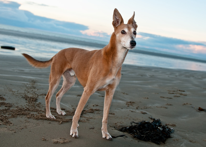 Beach Martin - 4