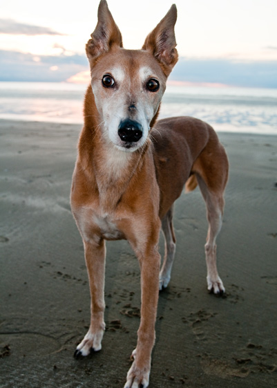Beach Martin - 3