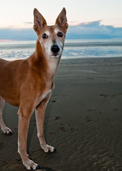 Beach Martin - 2