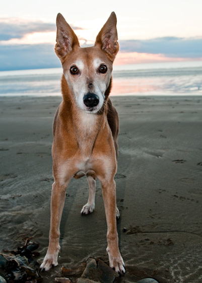 Beach Martin - 1