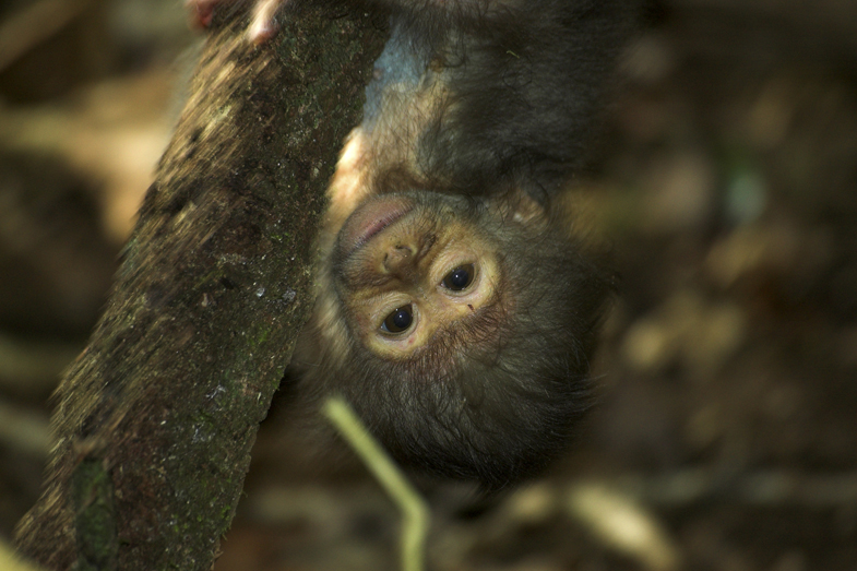 Tanzania Wildlife - 7